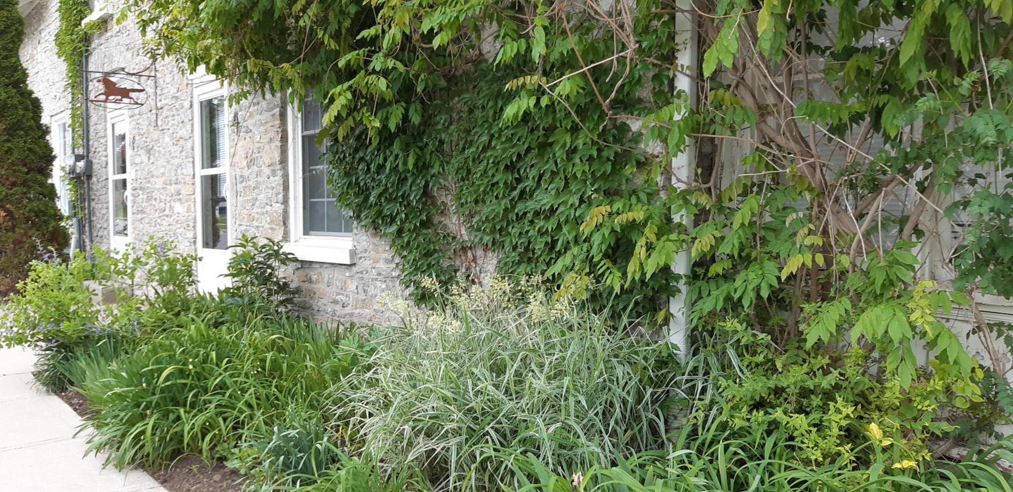 Вилла Stone Carriage House Пиктон Экстерьер фото