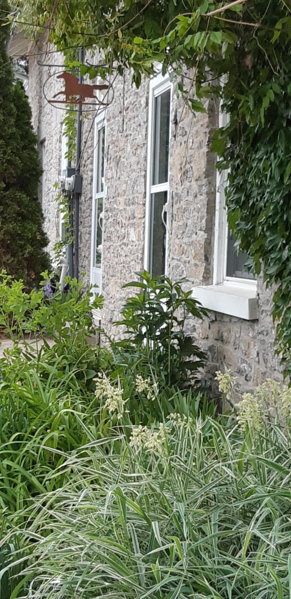 Вилла Stone Carriage House Пиктон Экстерьер фото